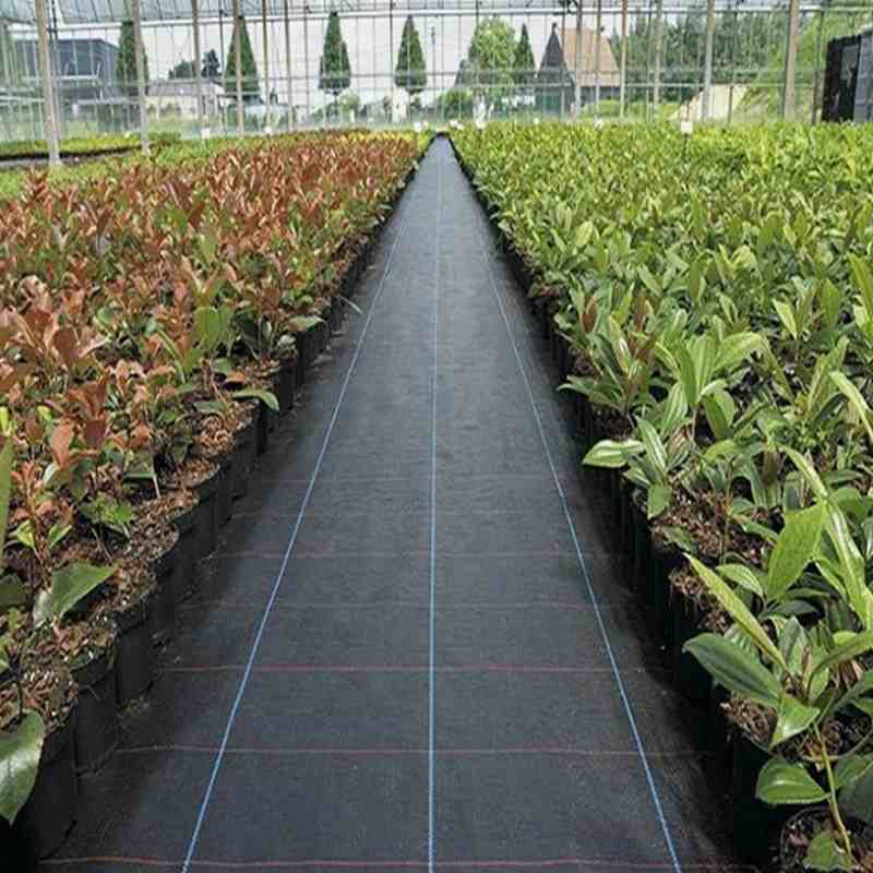 Weed Control Membrane Hot Film Green Weed Mat Plant Nursery Anti Grass Cloth with UV Treatment