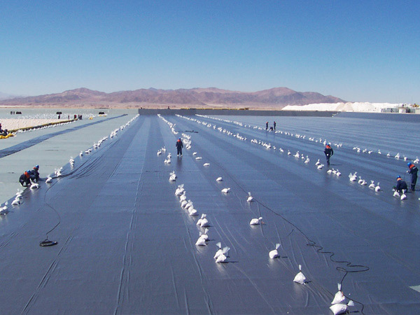Is the anti-seepage membrane for fish ponds harmful to fish and shrimp?