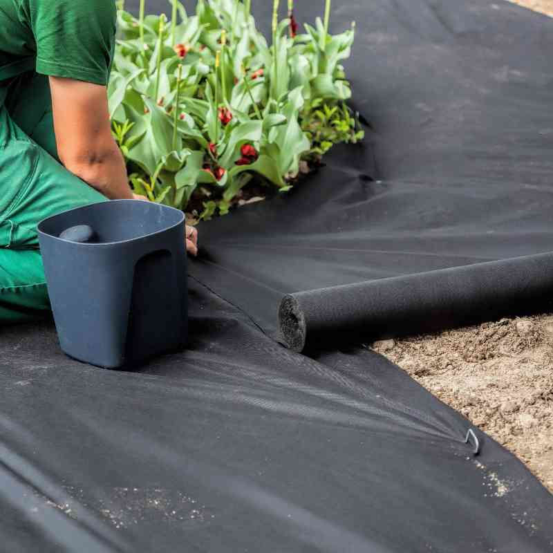 Grass proof cloth: What is its function and purpose?