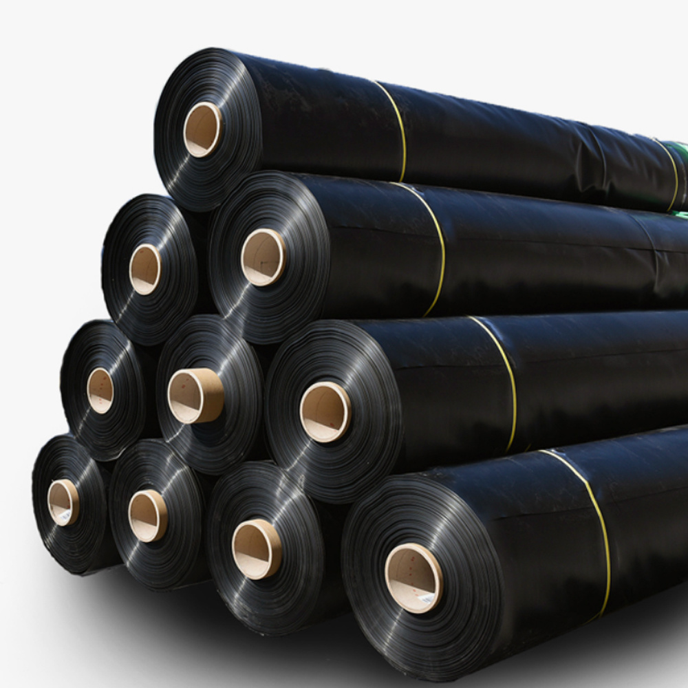 The Importance of Geomembranes