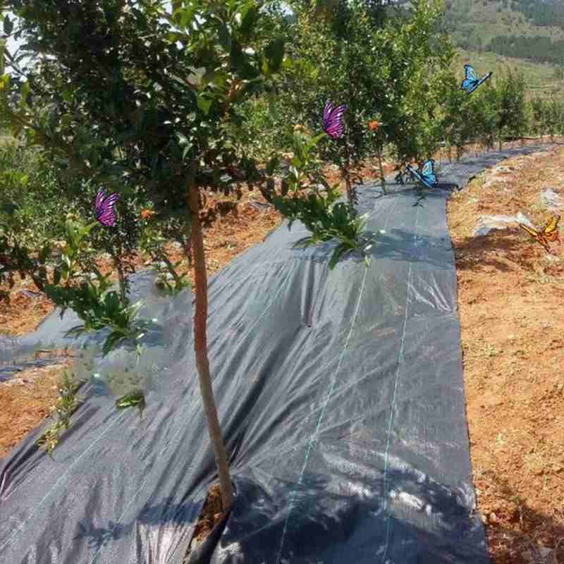 "Enhance Your Garden with Anti Grass Cloth for Superior Weed Control"
