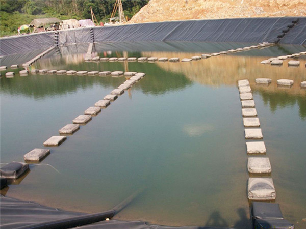 Advantages of anti-seepage membrane for fish pond culture