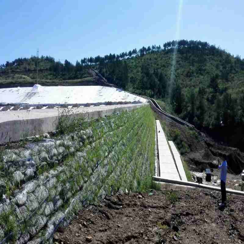 Exploring the trend range of unidirectional geogrid
