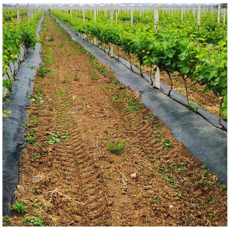 Flower bed lawn Anti grass cloth