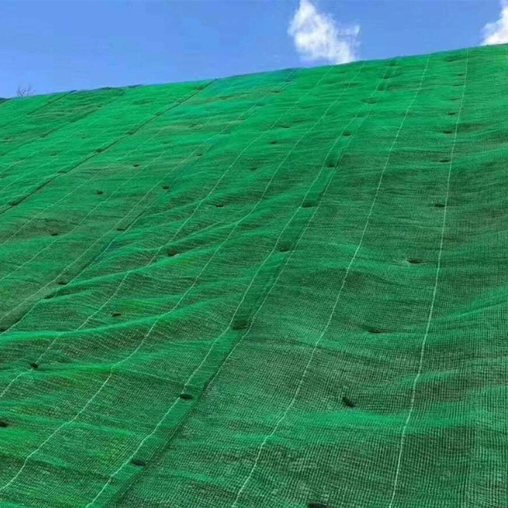 Three-Dimension 3D HDPE Geomat for Construction and Slope Protection