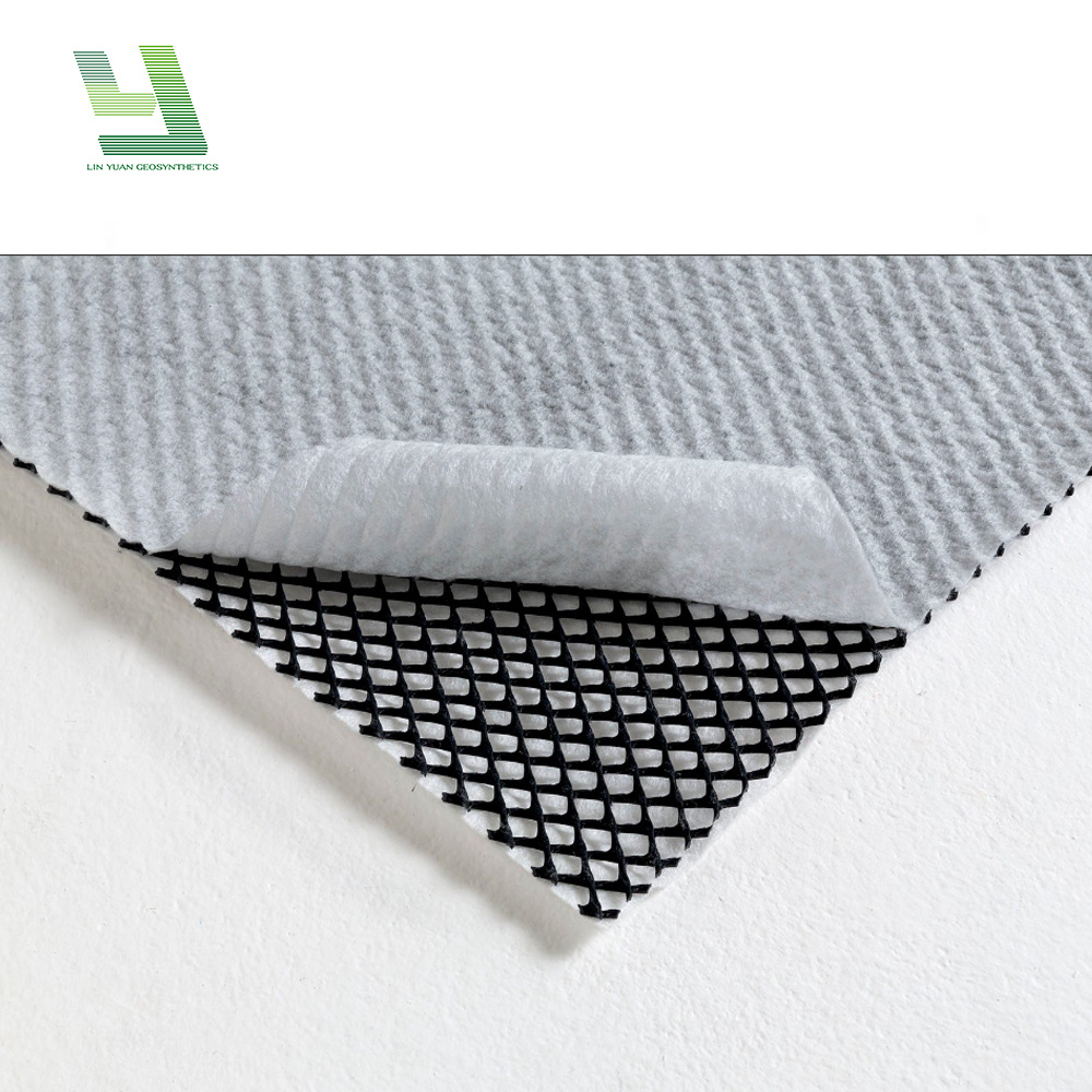 Coastal reinforcement Geocomposite