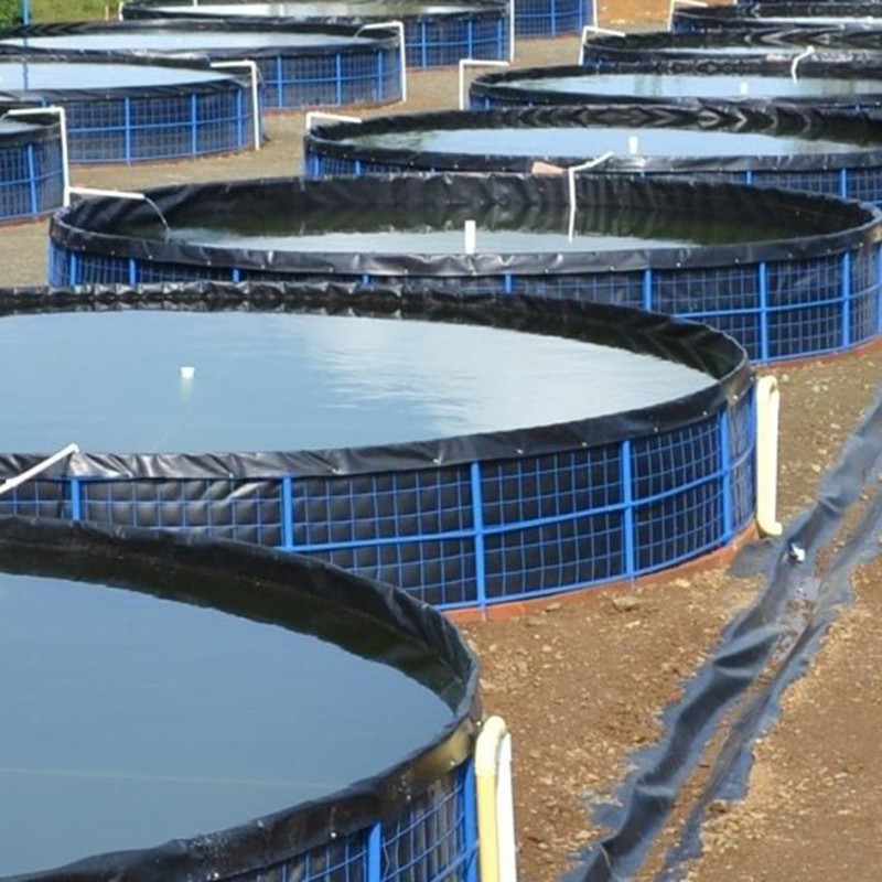 What is the function and characteristics of geomembrane
