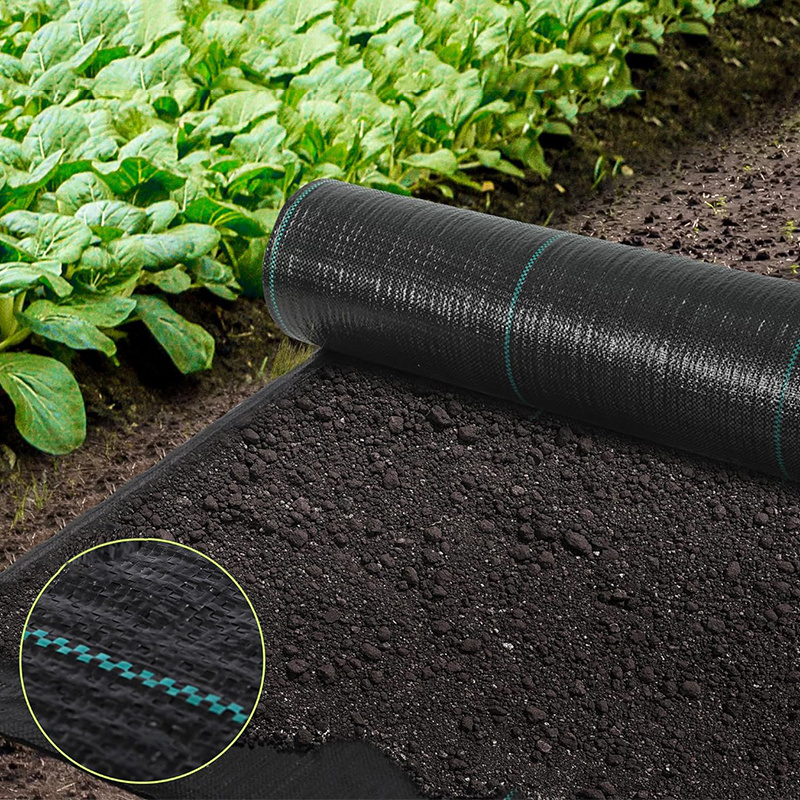 Control The Growth of Weeds Pp Weed Barrier Cloth