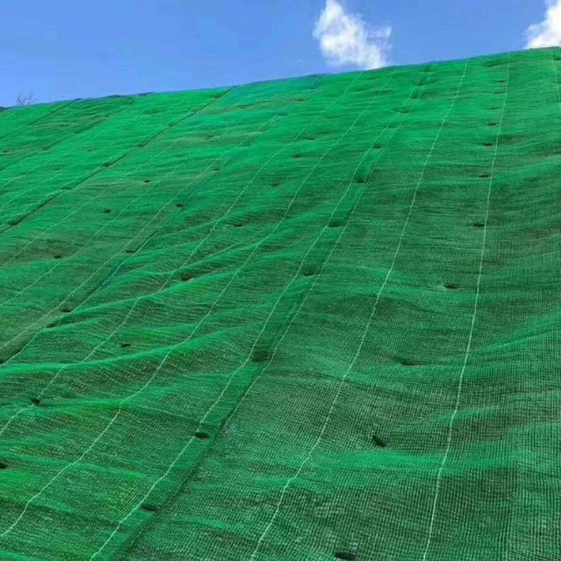 Understanding the 3D protective net