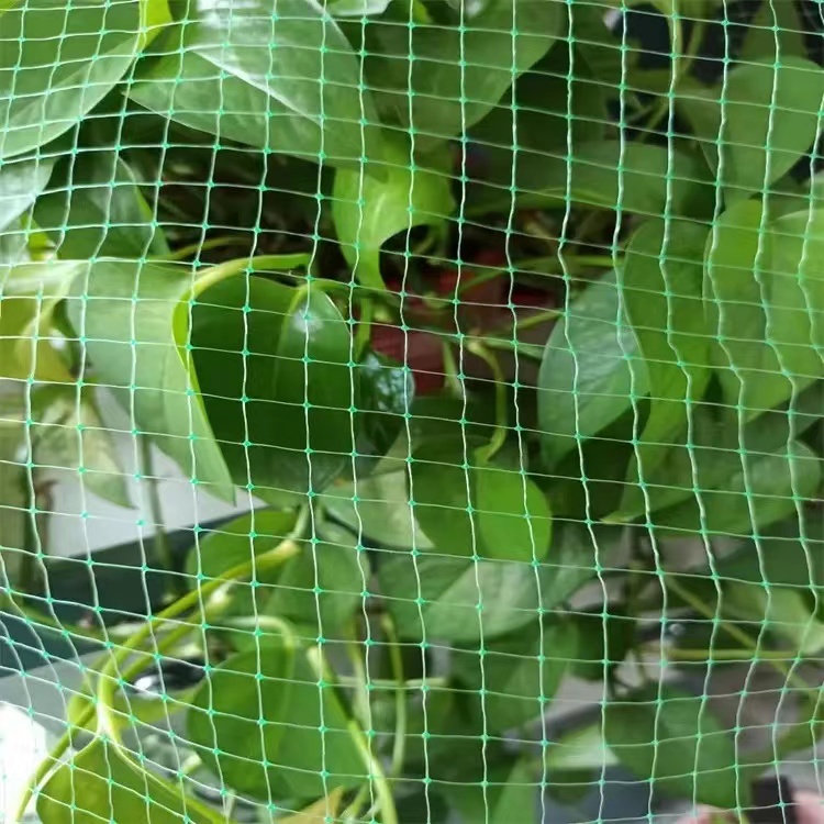 Animal husbandry Bop Stretched Net