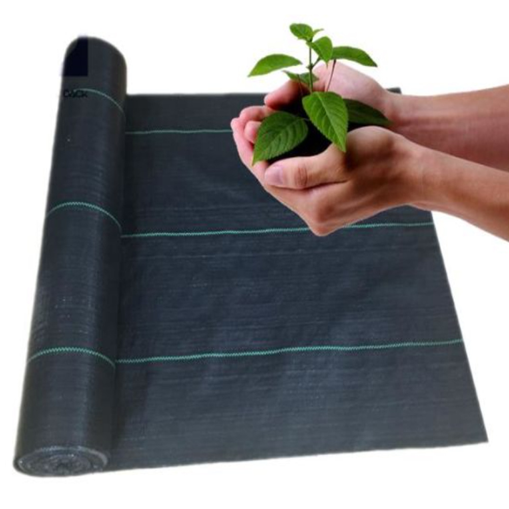 Landscape beauty Anti grass cloth