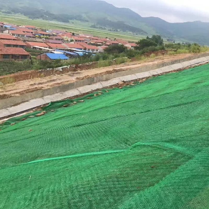 Green Color Vegetated Slope Protection 3D Geomat Three Dimensional Network