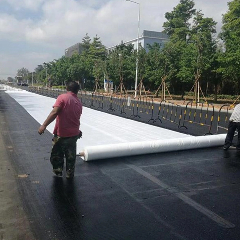 Manufacturer Geotextile Fabric Black Rolls Erosion Control Geotextile Fabric Price