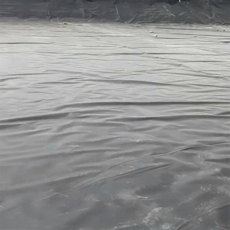 Influence of Geomembrane on Biogas Pond and Fish Pond