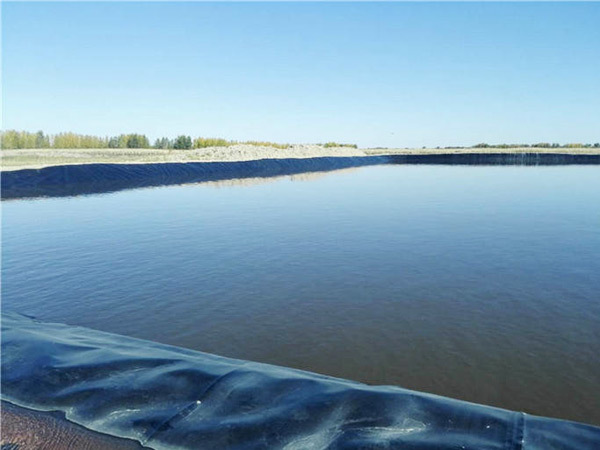 Performance characteristics of HDPE geomembrane