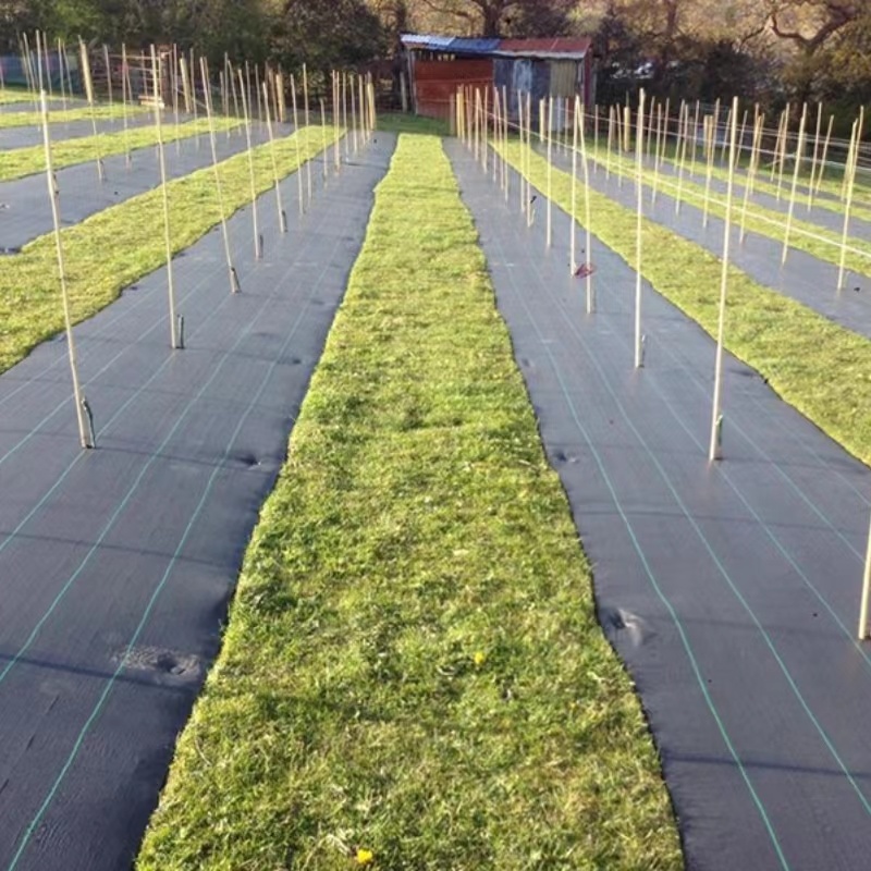 landscaping Anti grass cloth