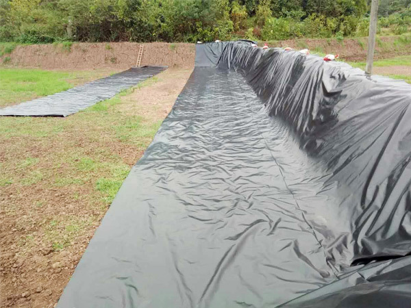 How many years can the anti-seepage membrane of fish pond be used?