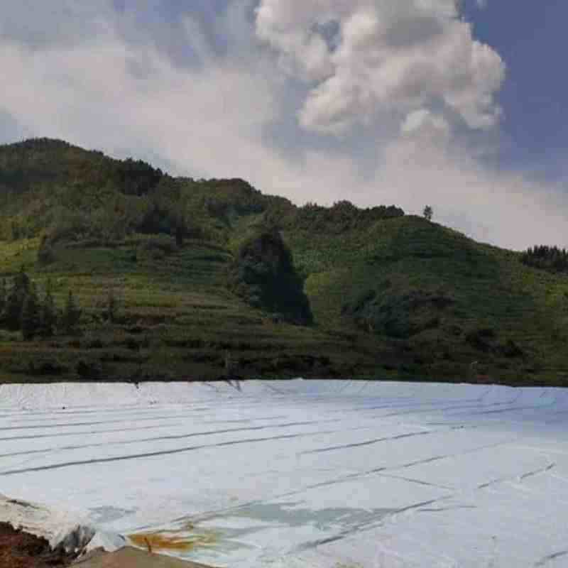 Black PP Pet High Tensile Strength Woven Fabric Stabilization PP Woven Geotextile for Soil Reinforcement