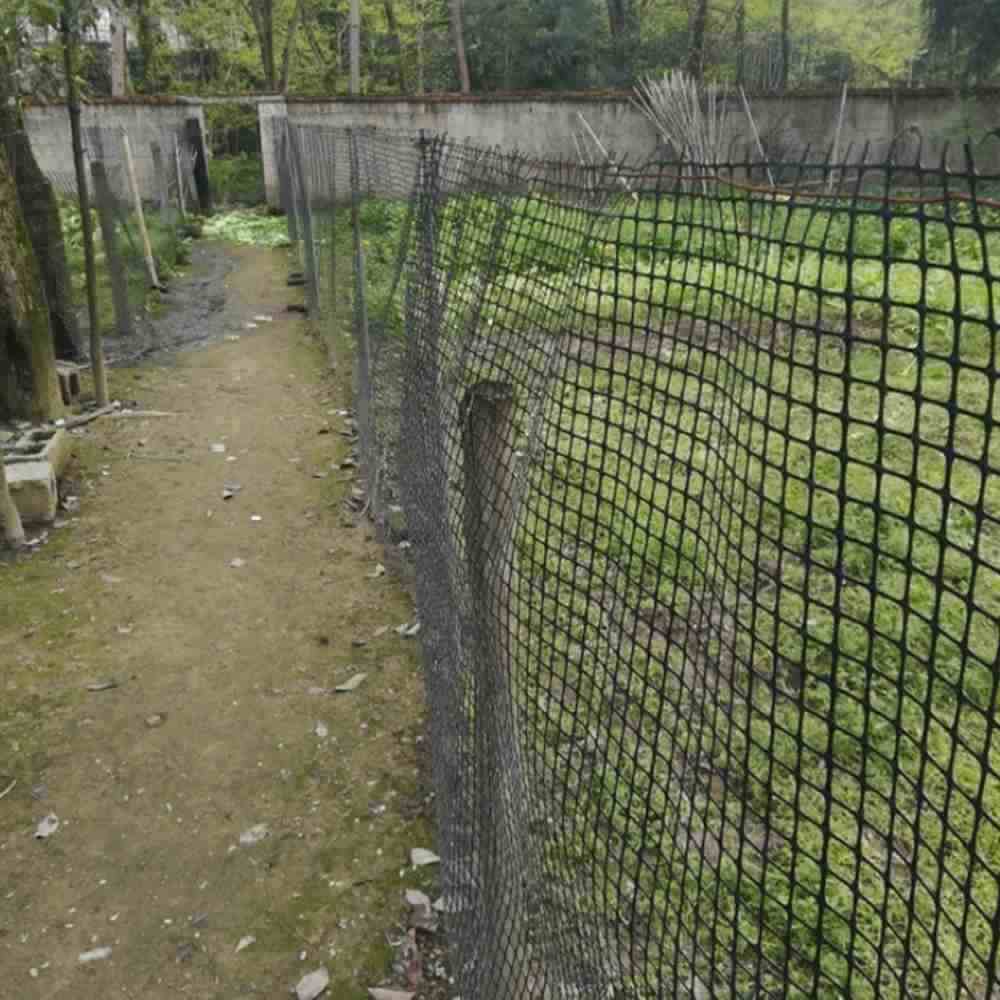 Fabricante de vallas de protección de fincas pp biaxil geogrid