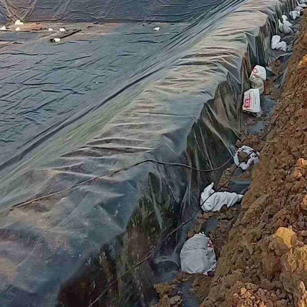 Proveedor de película Geotécnica de HDPE para la protección de laderas de ríos negros antifiltración