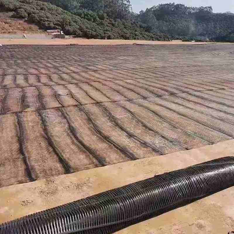 Productos de rejilla Geotécnica de alta calidad reforzados con HDPE de alta calidad para paredes de retención