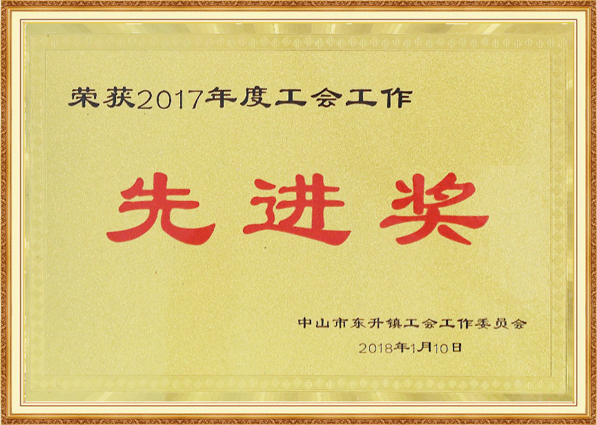 2017年度先进奖