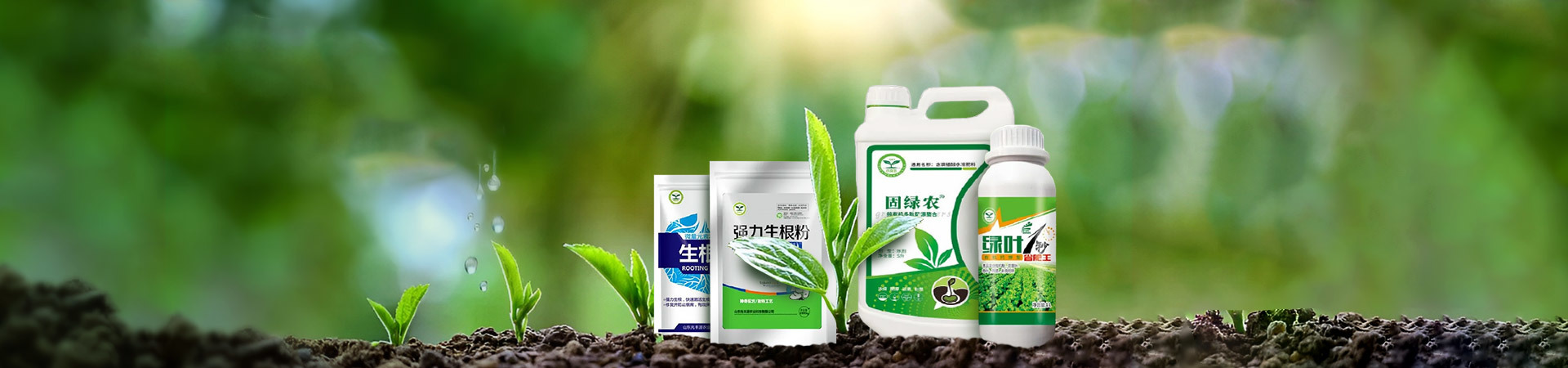 產(chǎn)品系列