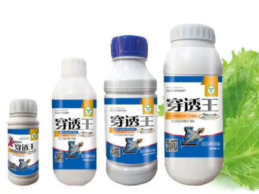 穿透王