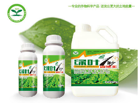綠葉1秒