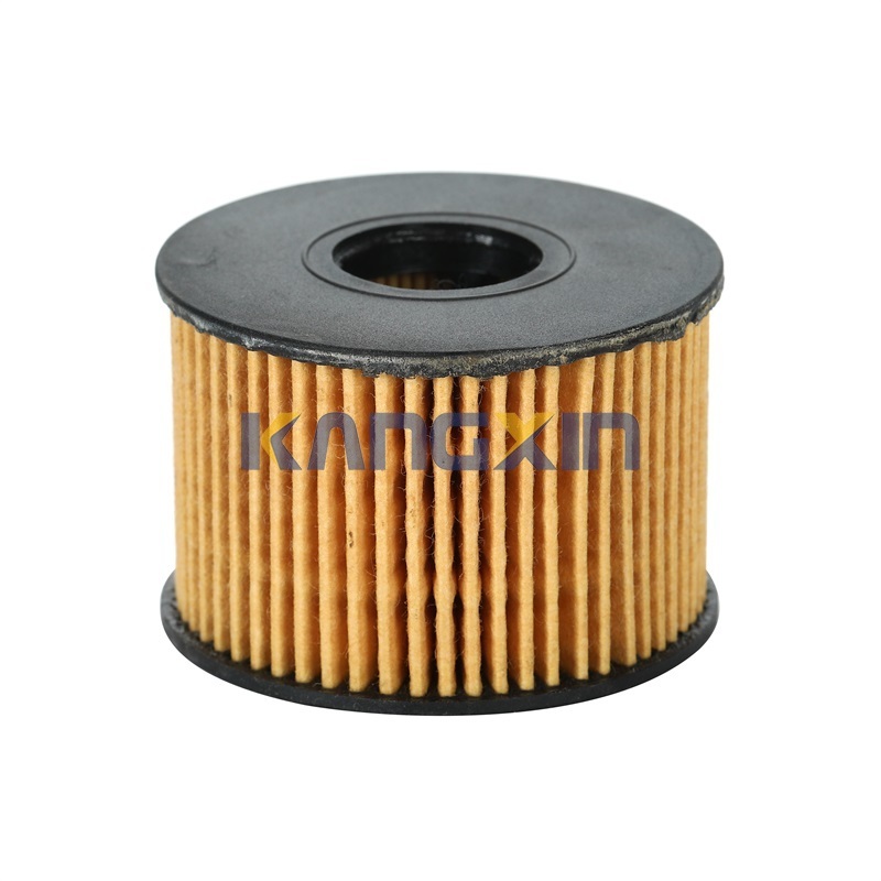 HY1-6744-AA Oil filter for Landwind (Jmc)