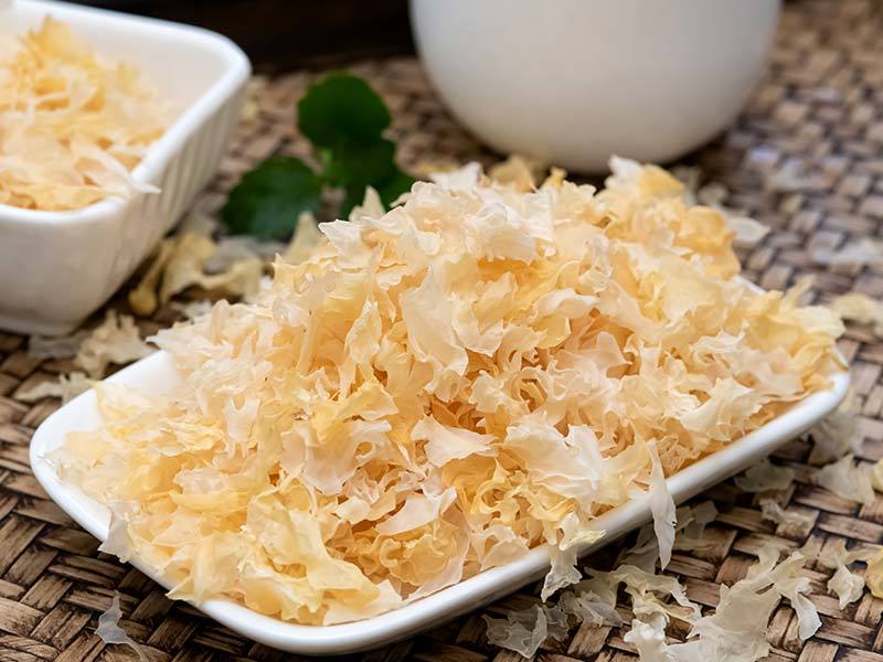 TREMELLA