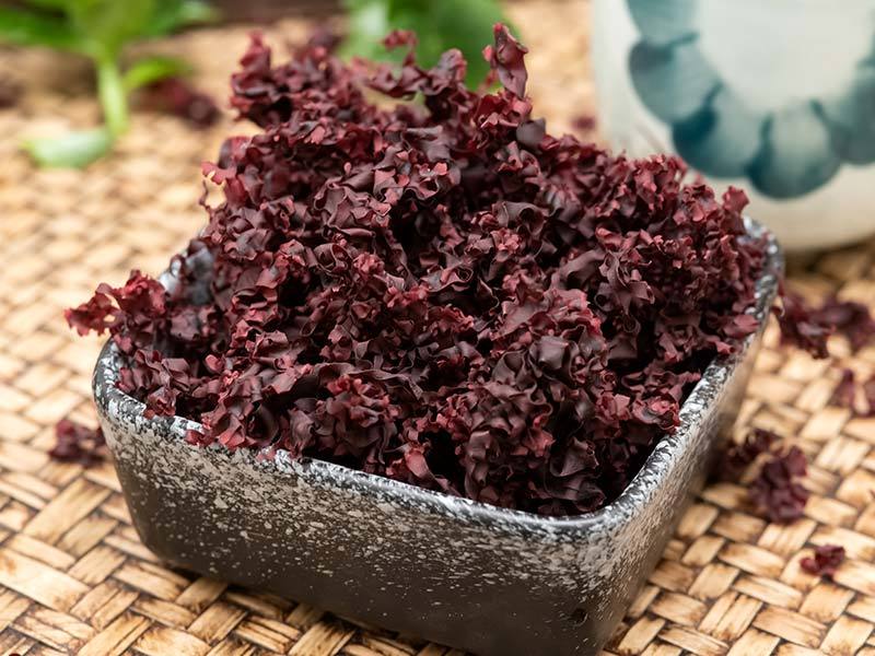 DRIED IMPORTED RED SEAWEED