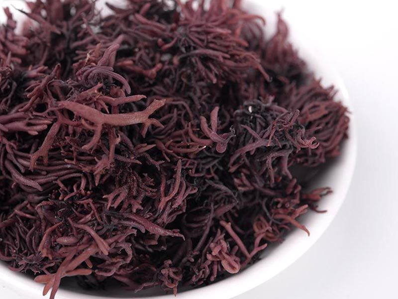 DRIED RED WEBER-VAN BOSSE