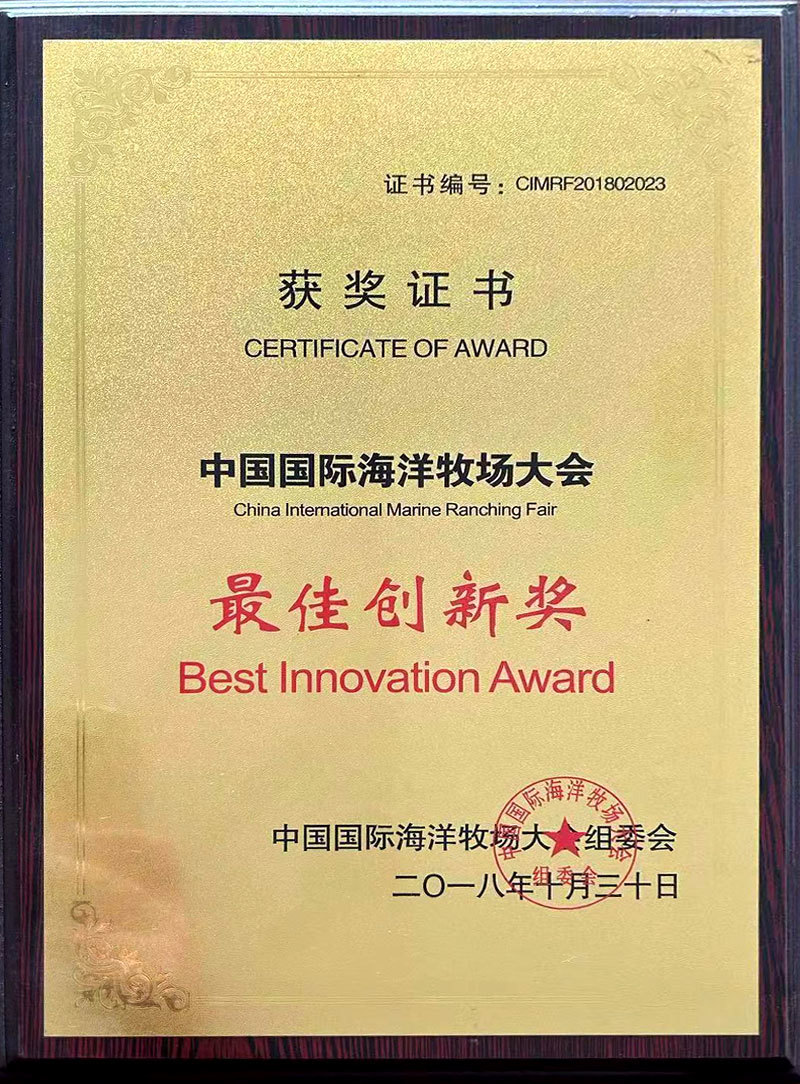 Auszeichnung für die beste Innovation