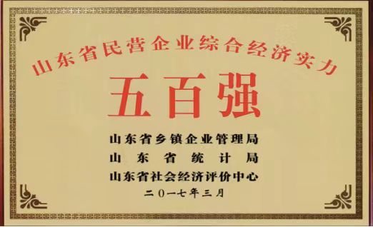 山东省民营企业综合经济实力500强