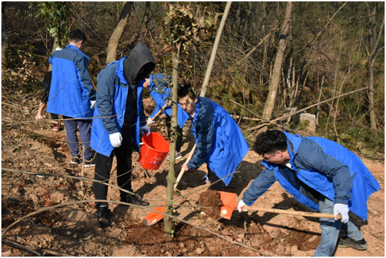 春光正当时，我们在行动——武汉控股公司团委2018年义务植树活动