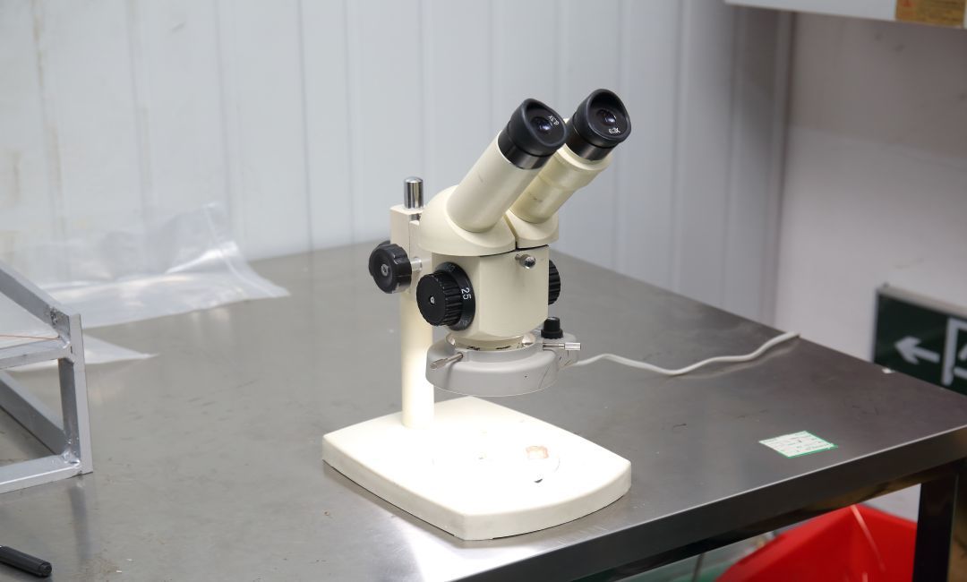 Binocular microscope
