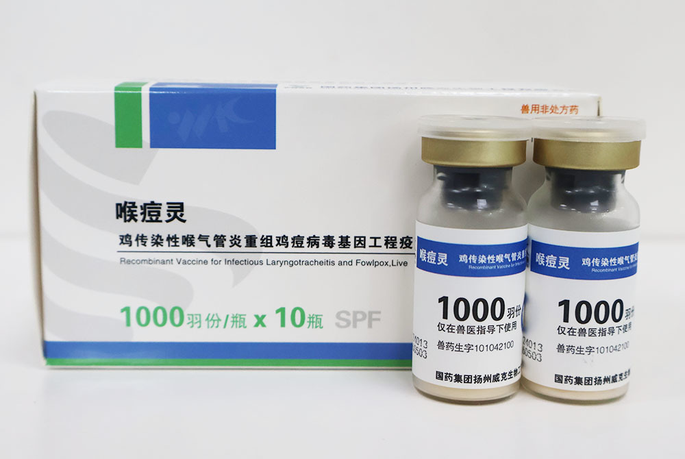 雞傳染性喉氣管炎重組雞痘病毒基因工程疫苗