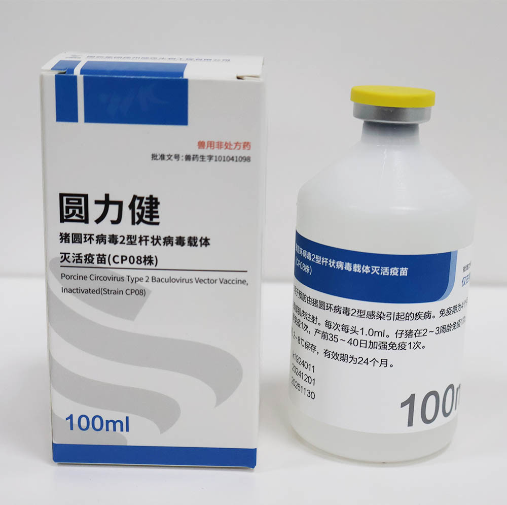 豬圓環(huán)病毒2型桿狀病毒載體滅活疫苗（CP08株）