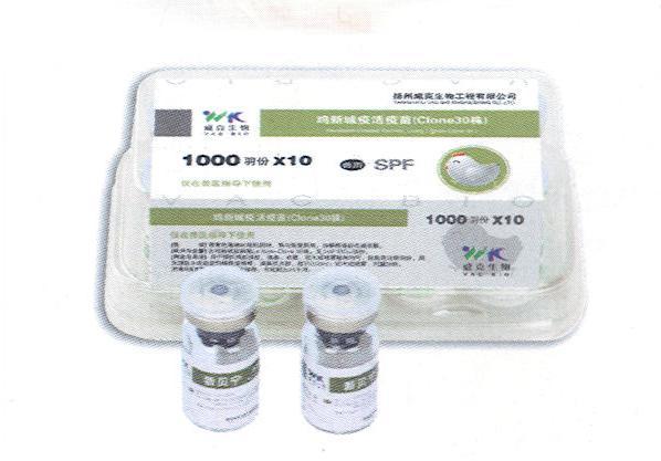 鸡新城疫活疫苗（Clone30株）