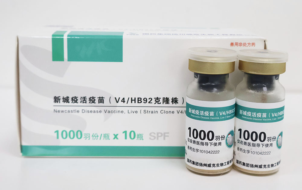 新城疫活疫苗（V4HB92克隆株）
