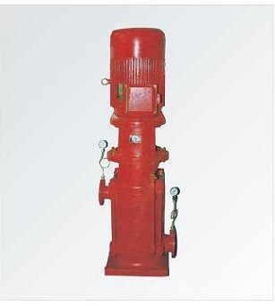 Vertical multistage fire pump group