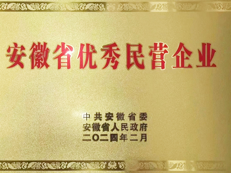Medal for Outstanding Private Enterprises in Anhui Province