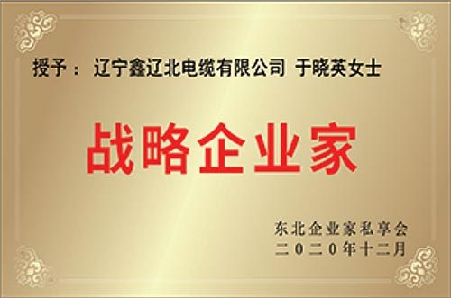 戰(zhàn)略企業(yè)家