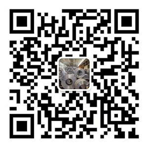 WeChat