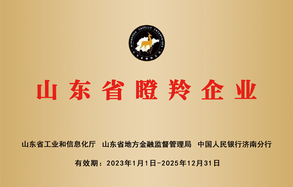 Shandong Province Gazelle Enterprise Shandong Province Gazelle Enterprise