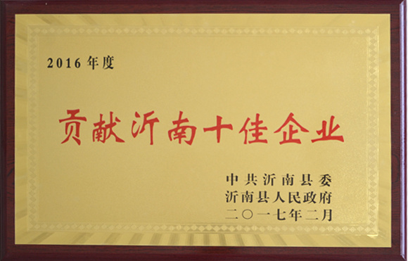 Contribute to the Top 10 Enterprises in Yinan Contribute to the Top 10 Enterprises in Yinan