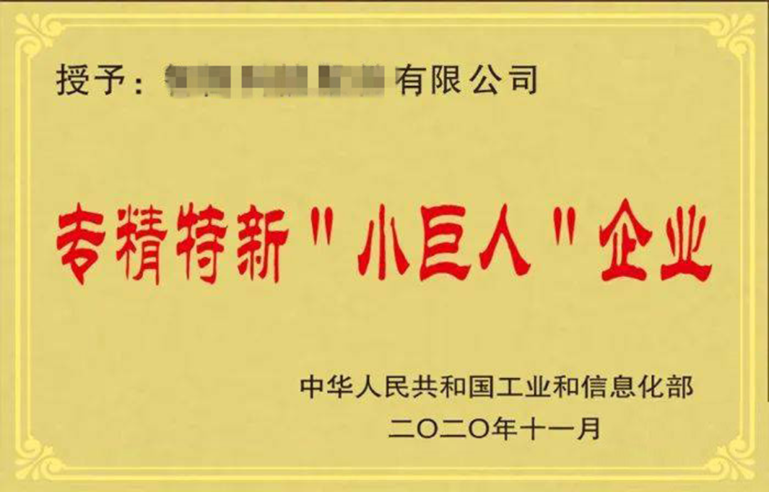 特新小巨人