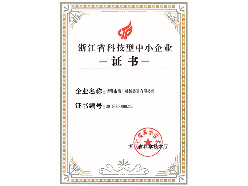 Zhejiang Science and Technology Small and Medium-sized Enterprise Certificate