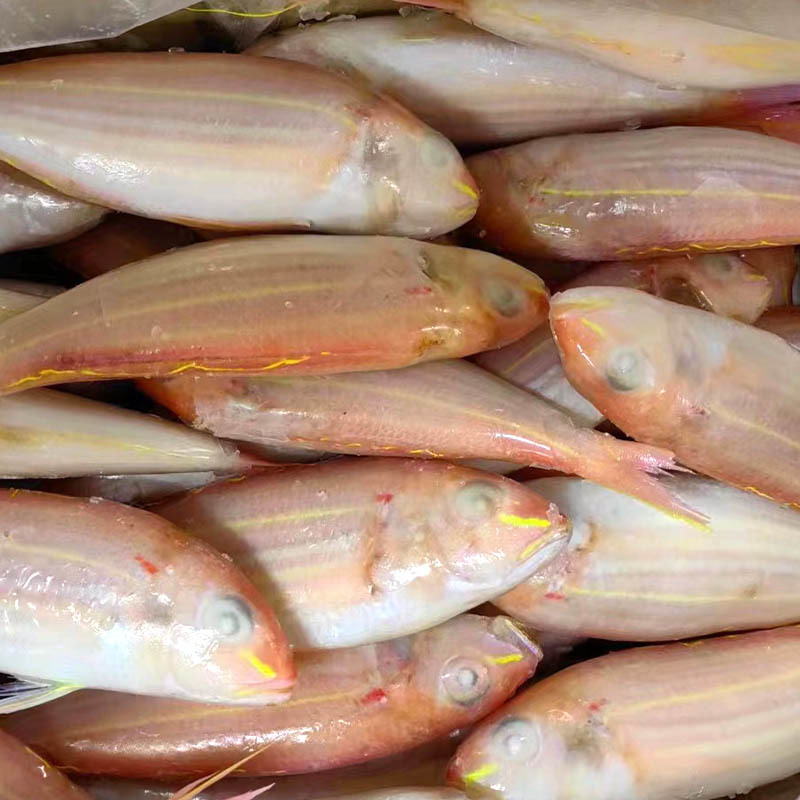 Frozen Golden Threadfin Bream